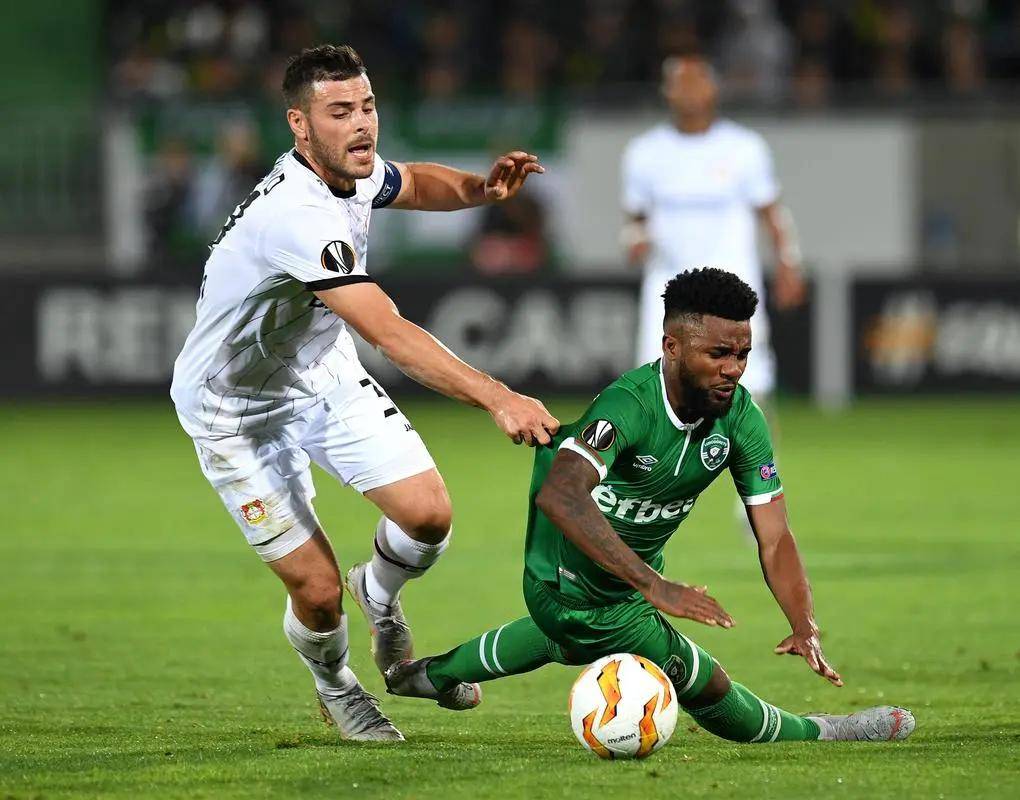 乒乓球领域 乒乓球领域