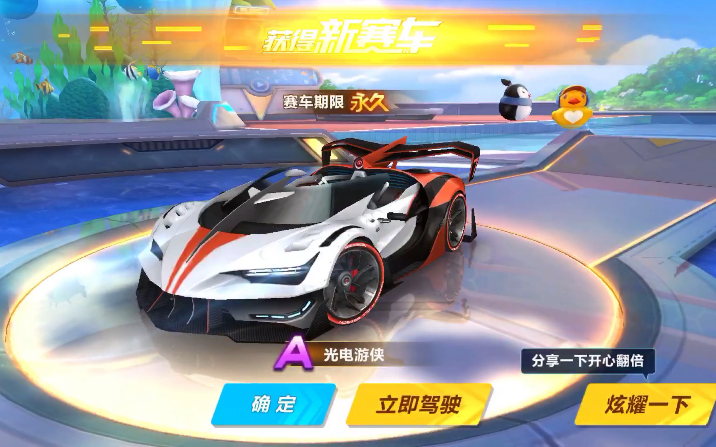 教练和队友 教练和队友