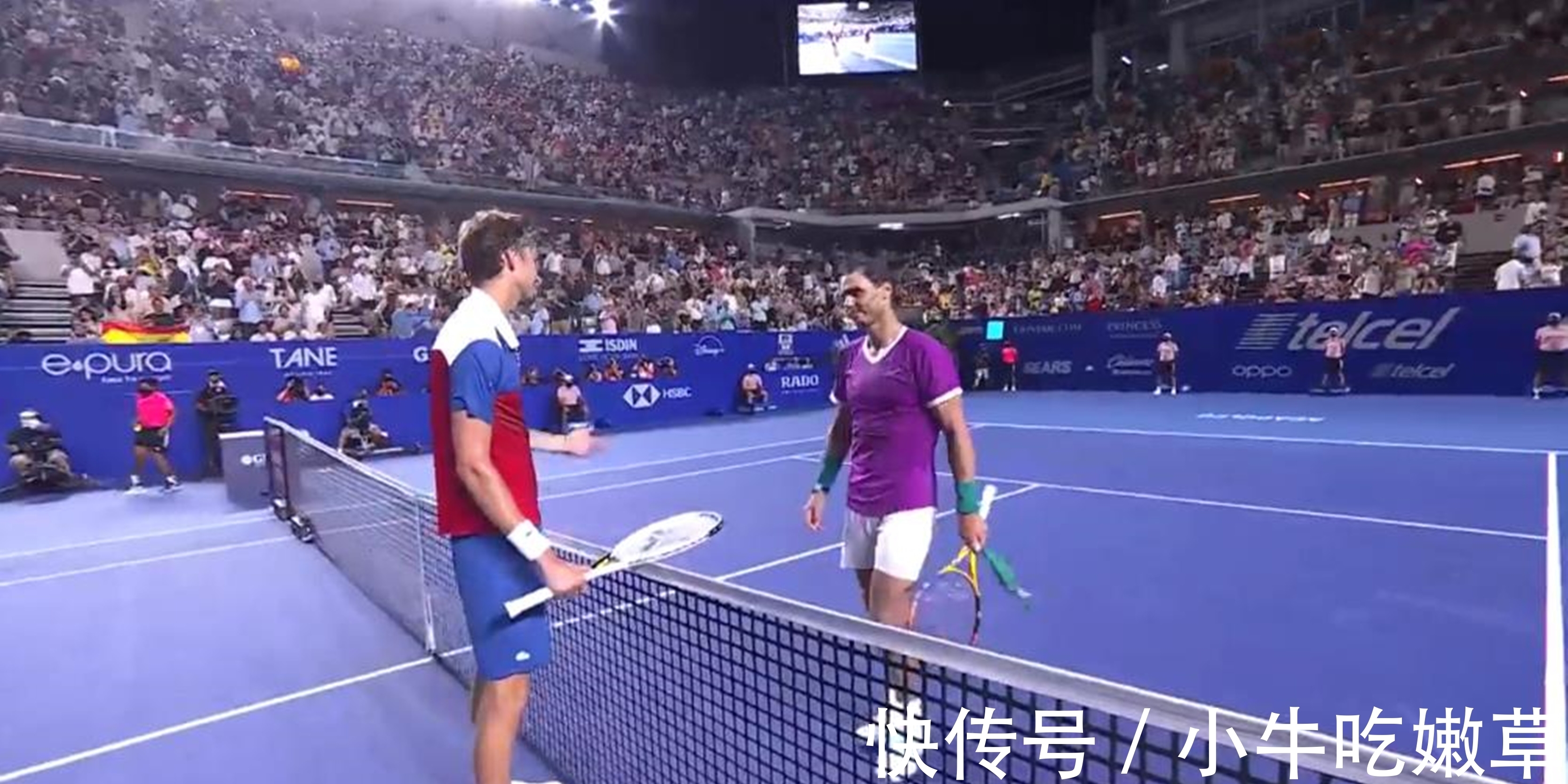 真实返还概 真实返还概